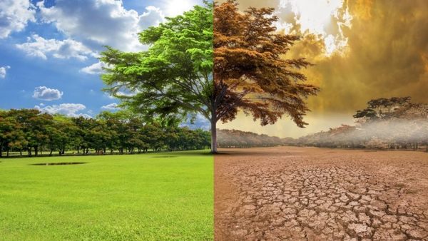 CIENTÍFICOS ALERTAN DE QUE EL CAMBIO CLIMÁTICO SERÁ MÁS FUERTE DE LO PREVISTO