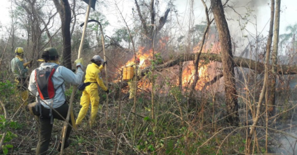 Incendio forestal ya llegó a Laguna Blanca