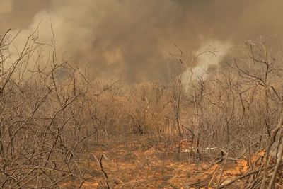 Infierno en el Norte: Luchan por aplacar incendios voraces