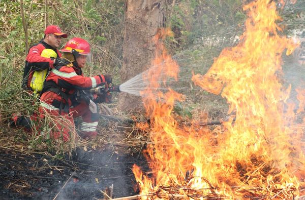 Sin plan, contener incendio en Paraguay depende de lluvias