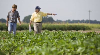 Gremio de pequeños productores agrícolas acompaña decisiones del Ejecutivo