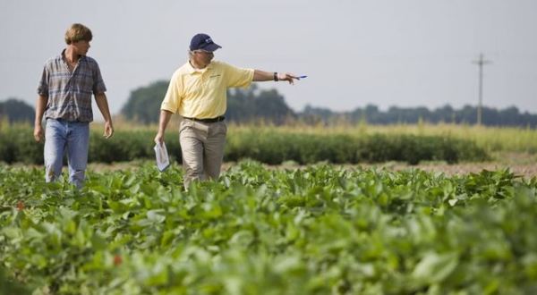 Gremio de pequeños productores agrícolas acompaña decisiones del Ejecutivo