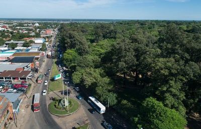 Viaducto Botánico: obras afectarán a árboles exóticos - La Primera Mañana - ABC Color