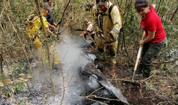 Investigan a más de una decena de estancieros por incendios en el Chaco
