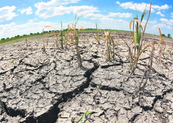 Chile declara emergencia agrícola por sequía en región de Atacama