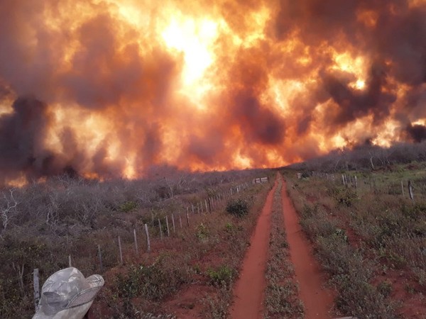 El viento sur disipó los niveles de contaminación, según médico