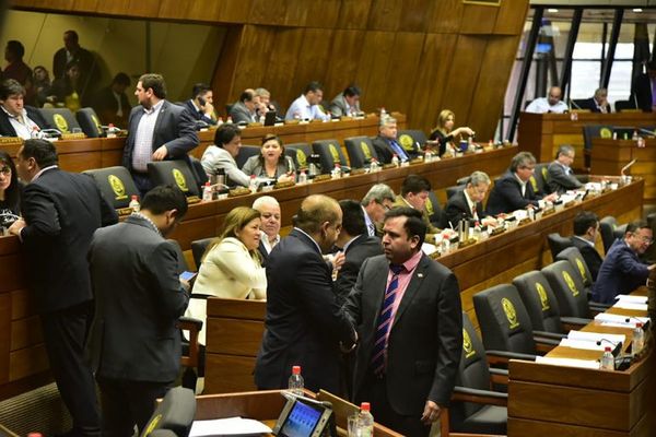 Diputados aprueban cambios en proyecto de ley sobre sociedades anónimas - Nacionales - ABC Color