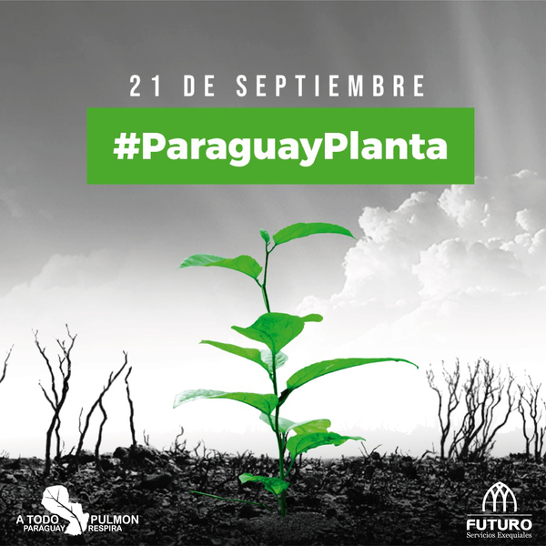 Futuro se une la gran campaña #ParaguayPlanta de A Todo Pulmón » Ñanduti
