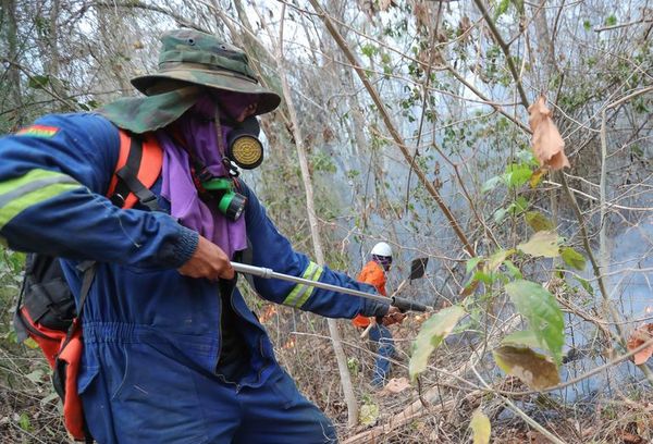 Incendios en Bolivia consumieron 4,1 millones de hectáreas, según ONG - Mundo - ABC Color