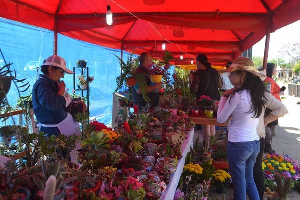 Yvoty Rape se inicia el viernes en Caacupé - Nacionales - ABC Color
