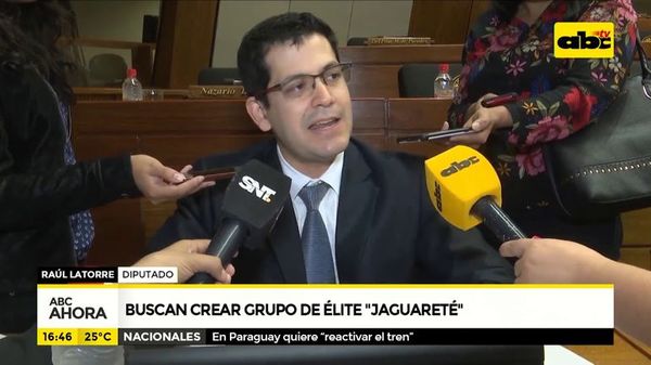 Buscan crear grupo de élite “Jaguareté” - ABC Noticias - ABC Color
