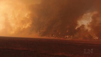 CAF entregará 100.000 dólares para combatir incendios en el Chaco