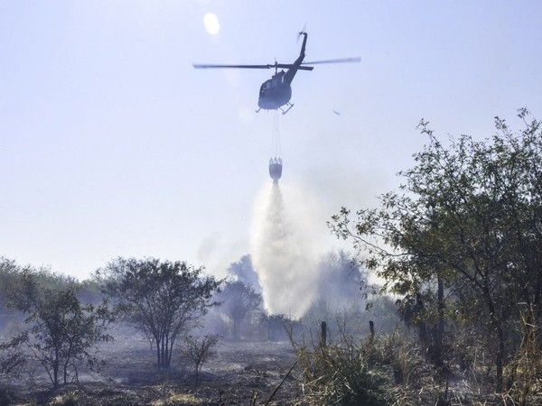 Los focos de calor se reducen a 56 en las últimas horas