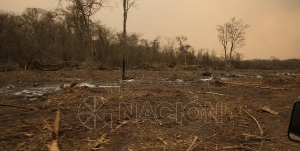 HOY / Considerable reducción de focos de incendio