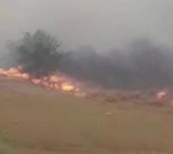 Incendios forestales: Infona investigará a 15 estancieros  - Paraguay.com