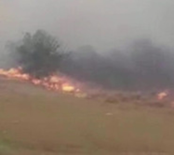 Incendios forestales: Infona investigará a 15 estancieros - Paraguay.com