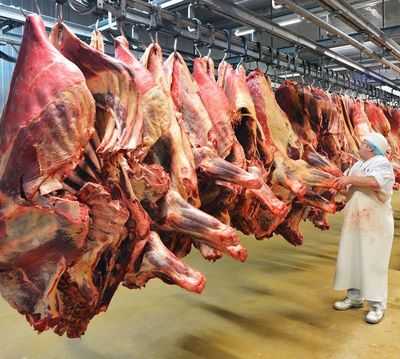 Piden implementar la trazabilidad del 100% del ganado