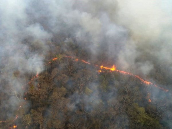 Fuego volvió a estancia Pensilvania y Fiscalía e Infona investigan causas