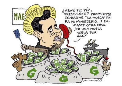 Caldo Ava