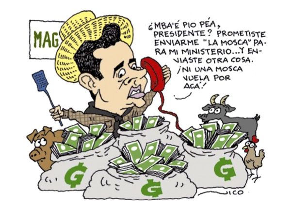Caldo Ava