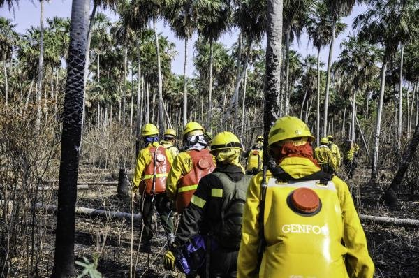 Bomberos apelan a donación ciudadana para continuar con el combate de los incendios