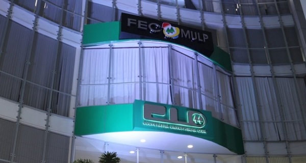 Cooperativas podrán elegir entre 3 sistemas de voto para renovar autoridades