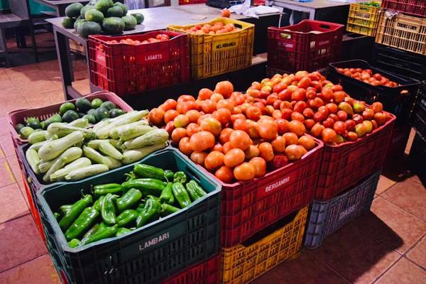 Continúan las ferias de hortalizas en Alto Paraná