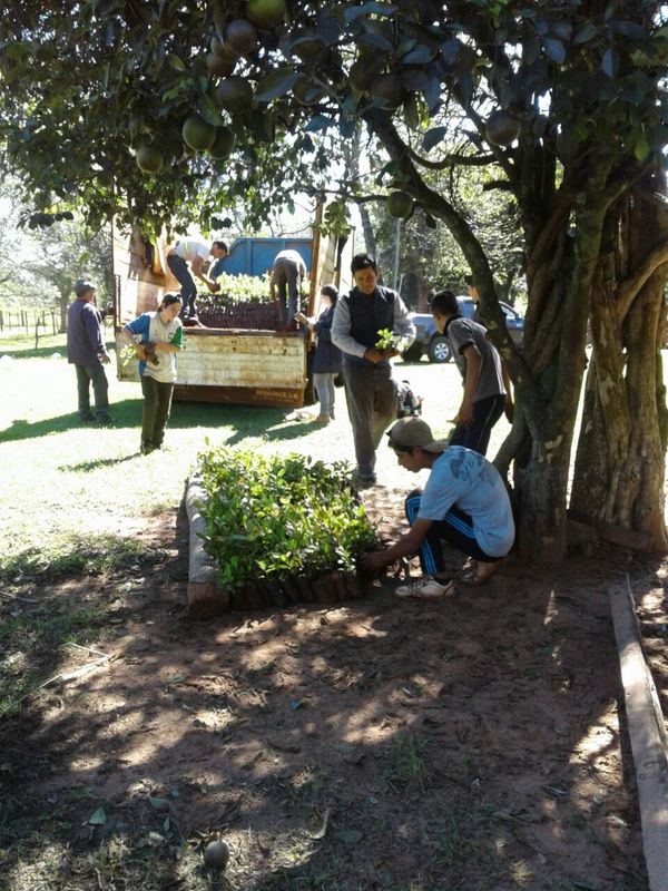 La campaña #ParaguayPlanta de A Todo Pulmón suma voluntarios en el Guairá » Ñanduti