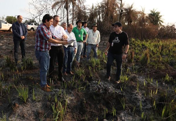 Director de Itaipu verificó avances en reforestación en zona de protección del embalse | .::Agencia IP::.