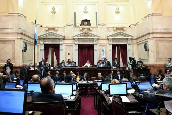 Congreso de Argentina aprobó ley de emergencia alimentaria - Mundo - ABC Color