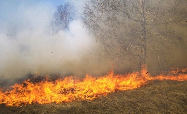 HOY / Quema de pastizales provocaron incendios: 15 estancias, en la mira de Fiscalía