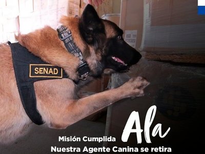 Ala, la agente canina de la Senad, se jubila tras nueve años de trabajo