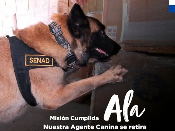 Ala, la agente canina de la Senad, se jubila tras nueve años de trabajo