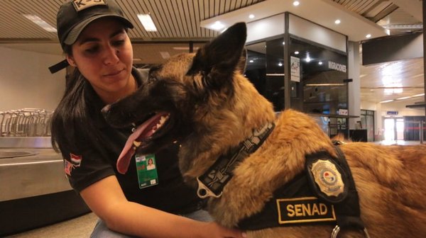 Ala, el can de la Senad, se retira tras nueve años de servicios y será condecorada - ADN Paraguayo