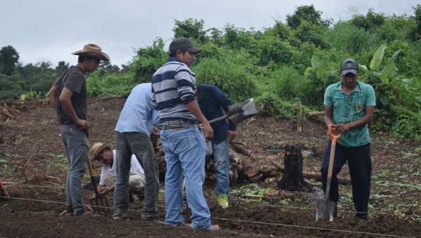 Pretender otorgar créditos a tasas y plazos especiales a pequeños productores