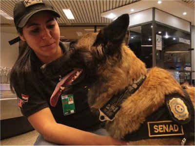 Se jubila Ala, la agente canina antidrogas