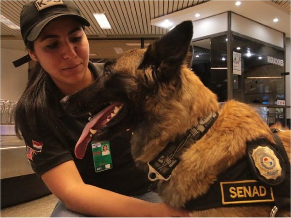 Se jubila Ala, la agente canina antidrogas