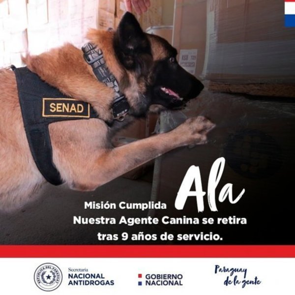 ALA, LA AGENTE CANINA DE LA SENAD, SE JUBILA TRAS NUEVE AÑOS DE TRABAJO