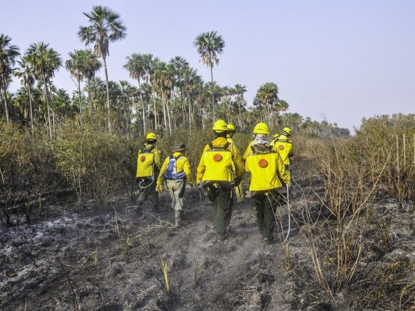 Incendios forestales afectan a 241.000 hectáreas de Alto Paraguay