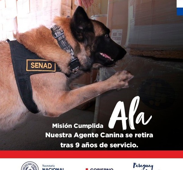 Ala, la agente canina de la SENAD, pasa a retiro con honores