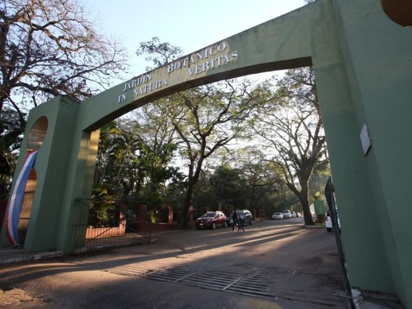 Corredor Vial: 'que se toque o no el Jardín Botánico, para mí no hubiera tocado un centímetro', dice directora