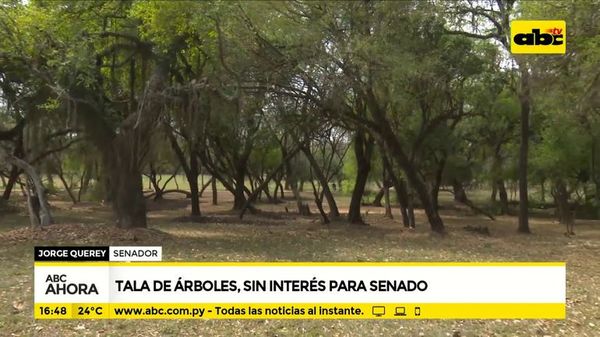 Tala de árboles, sin interés para el senado - ABC Noticias - ABC Color