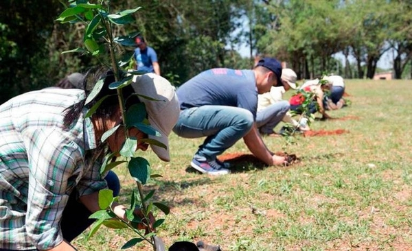 HOY / Preparan plantación masiva de árboles en el día de la Primavera con cientos de voluntarios