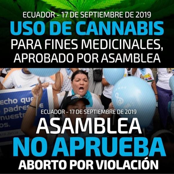Parlamento de Ecuador rechaza aborto y legaliza cannabis medicinal