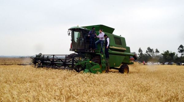 Piden al ministro de Agricultura abandonar asistencialismo político - Economía - ABC Color