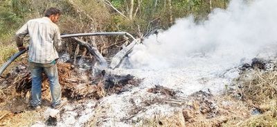 Aparecen nuevos focos de fuego en Alto Paraguay - Interior - ABC Color