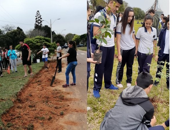 Misiones; celebran semana de la juventud plantando arbolitos - Digital Misiones