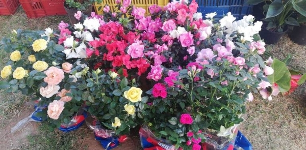 HOY / Feria en la Costanera con oferta de flores por la primavera
