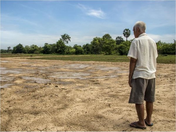 Crean Comisión de la Tierra para mantener la vida