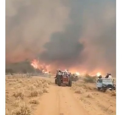 Productores, desesperados por avance del fuego en Alto Paraguay - ADN Paraguayo
